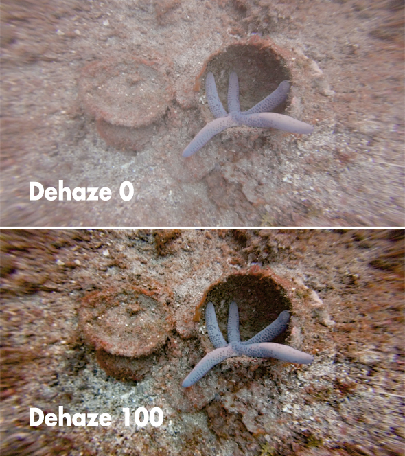 Sea star before and after dehazing