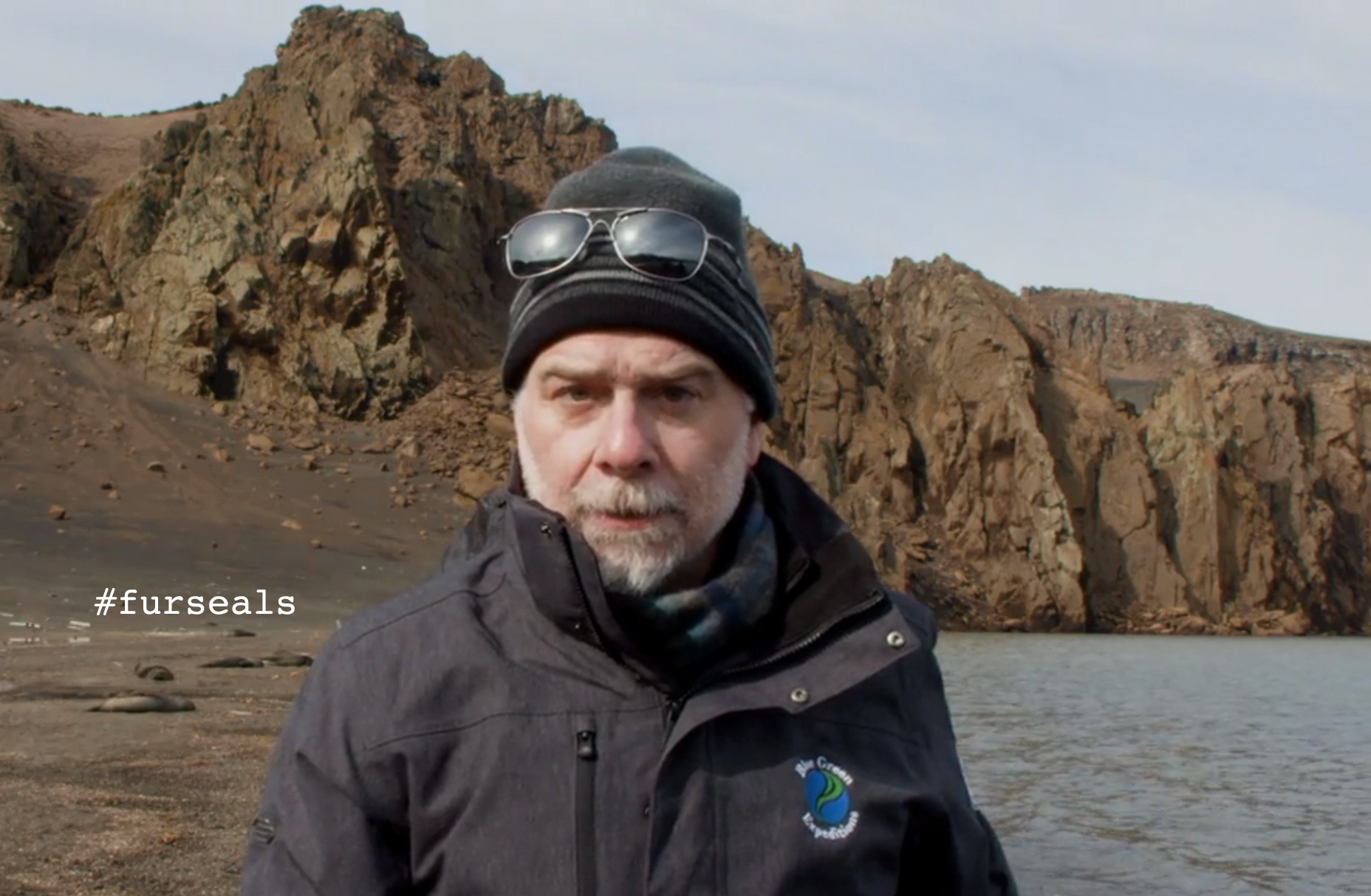 Deke from Deception island, Antarctica with some unimpressed fur seals