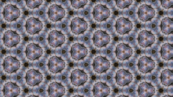 Cuttlefish eggs turned into a pattern in Adobe Capture
