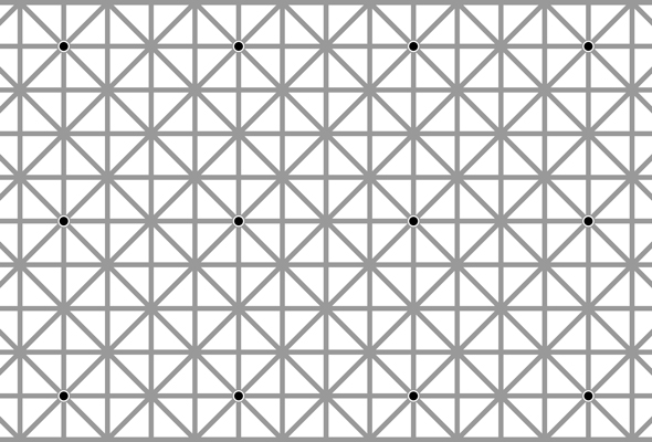 Can you see all 12 dots?